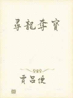 寻龙夺宝