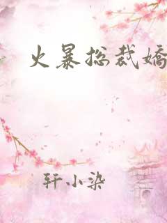 火暴总裁娇柔妻