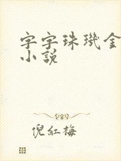 字字珠玑金银花小说