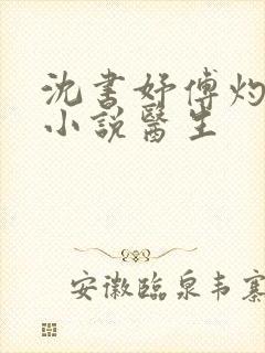 沈书妤傅灼抖音小说医生