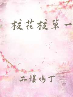 校花校草一起拽