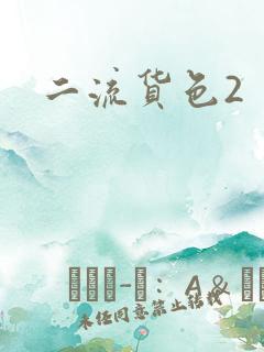 二流货色2