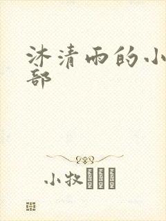 沐清雨的小说全部