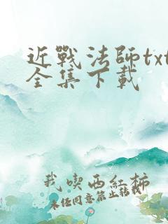 近战法师txt全集下载