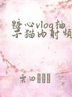 糖心vlog柚子猫内射频