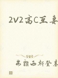 2V2高C互妻