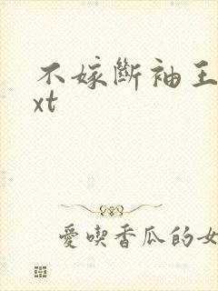 不嫁断袖王爷txt