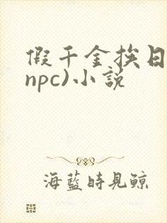 假千金挨日记(npc)小说