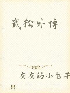 武松外传
