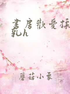 书房欢爱揉捏娇乳h