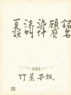 夏沫染顾铭修小说叫什么名字