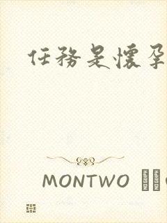 任务是怀孕系统