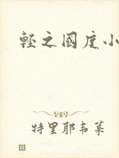 轻之国度小说