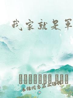 我家就是军火铺