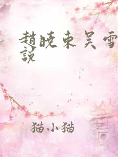 赵晓东吴雪晴小说