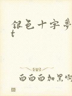 银色十字梦txt
