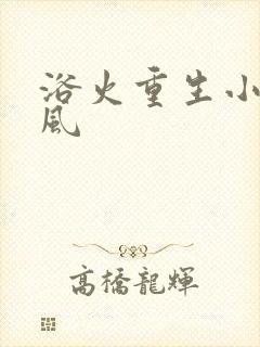 浴火重生小说陈风