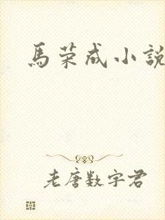 马荣成小说