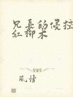兄长的侵控by红柳木