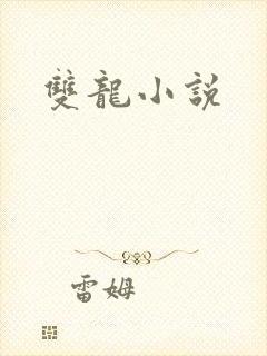 双龙小说