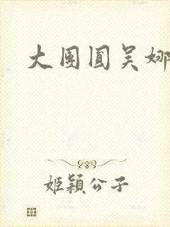 大团圆吴娜高敏