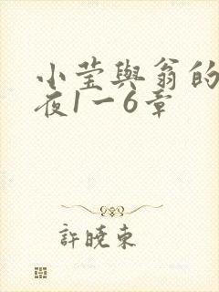 小莹与翁的销魂夜1一6章