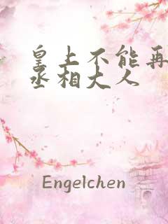 皇上不能再进了丞相大人