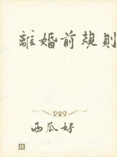 离婚前规则小说
