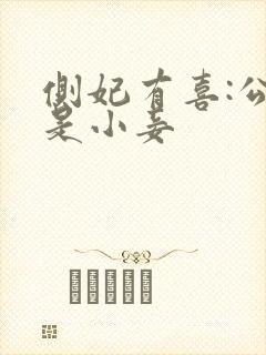 侧妃有喜:公主是小妾