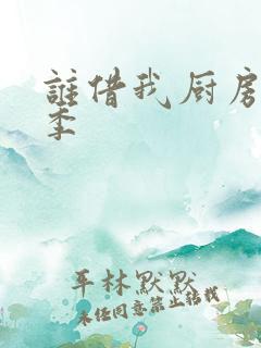 谁借我厨房第三季