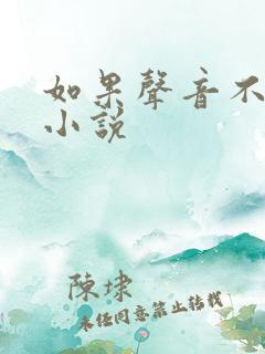 如果声音不记得小说