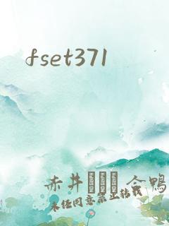 fset371