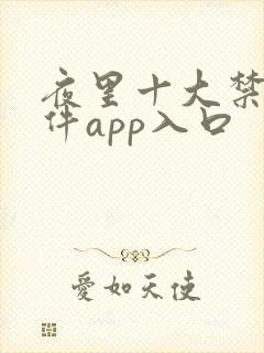 夜里十大禁用软件app入口