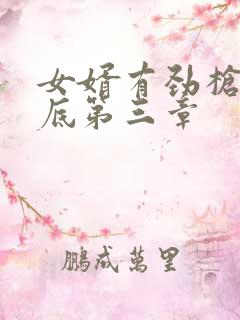 女婿有劲枪枪到底第三章