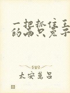 一把抓住王昭君的两只兔子