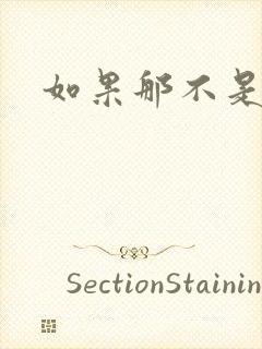 如果那不是爱情