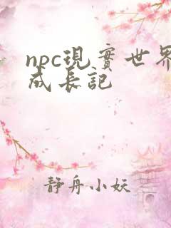 npc现实世界成长记