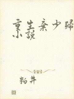 重生弃少归来 小说