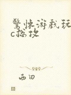 惊悚游戏玩npc总攻