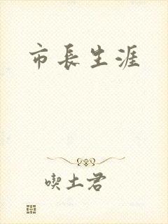 市长生涯