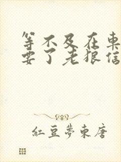 等不及在车里就要了老狼信息