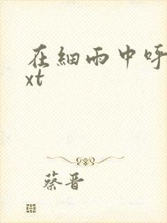 在细雨中呼喊txt