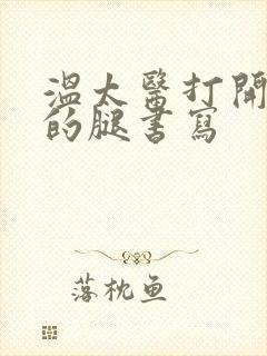 温太医打开眉庄的腿书写