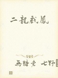 二龙戏凤