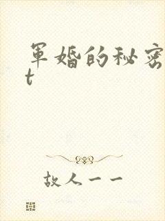 军婚的秘密txt