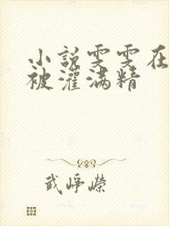 小说雯雯在工地被灌满精