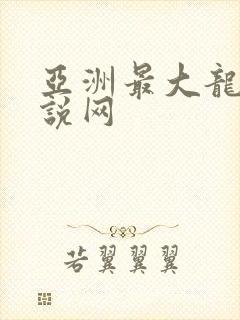 亚洲最大龙腾小说网