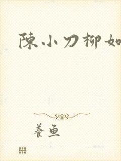 陈小刀柳如意