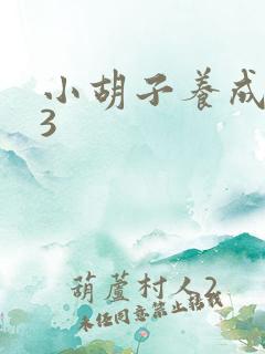 小胡子养成计划3