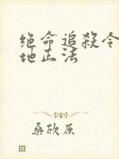 绝命追杀令2就地正法